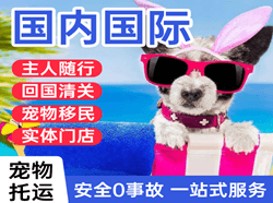 济南航空邮寄国际宠物托运 【国